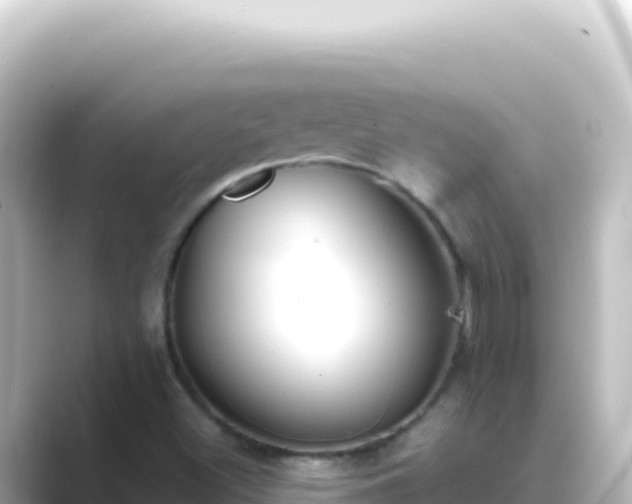 X0000089441500200706221220