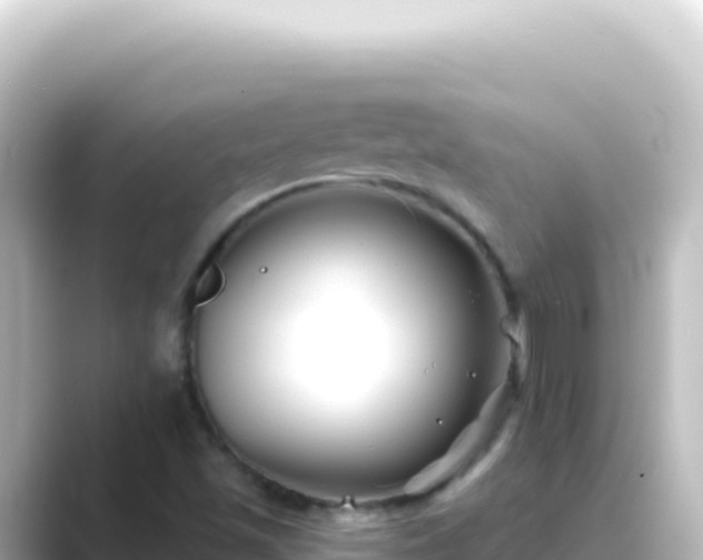 X0000089441501200706221220