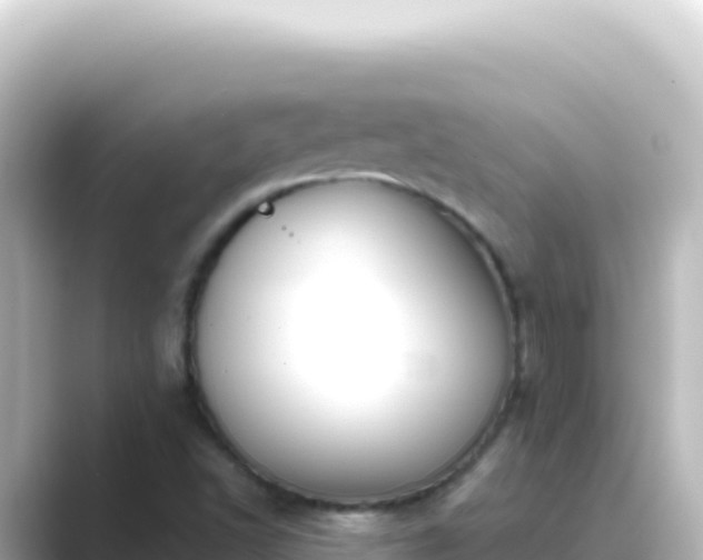 X0000089441502200706221220