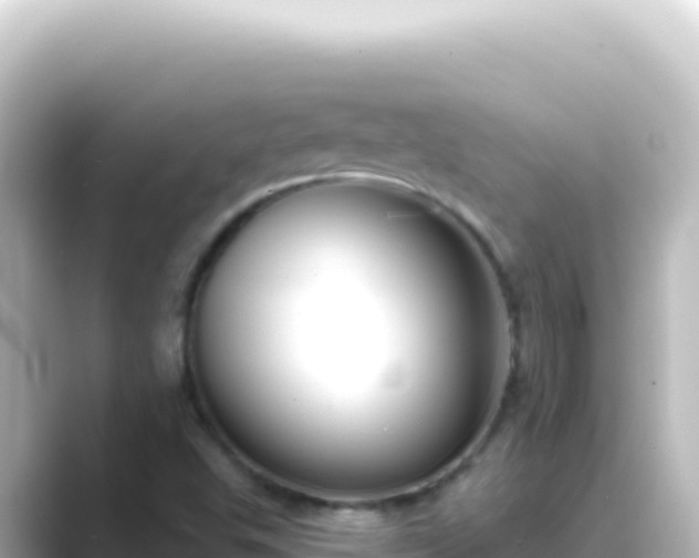 X0000089441503200706221220