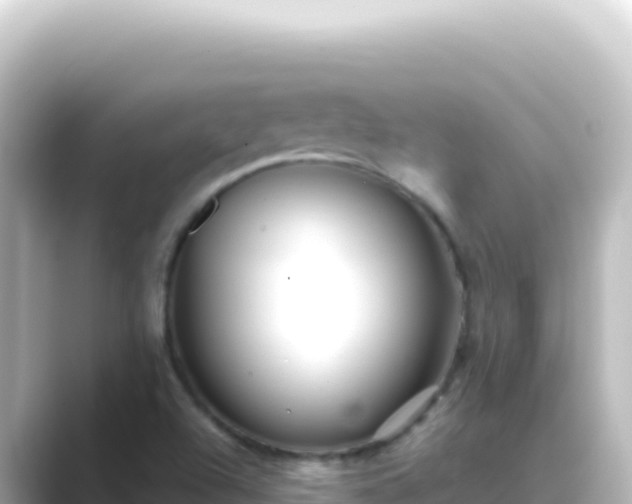 X0000089441504200706221220