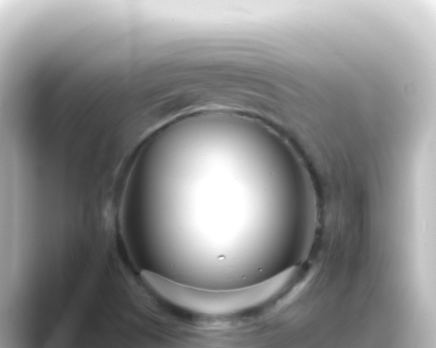 X0000089441505200706221220