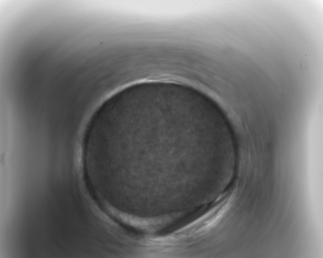 X0000089441506200706221220
