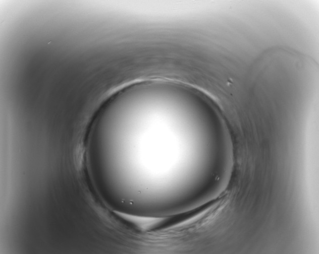 X0000089441507200706221220
