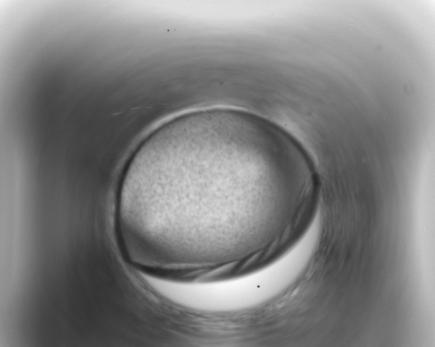 X0000089441508200706221220