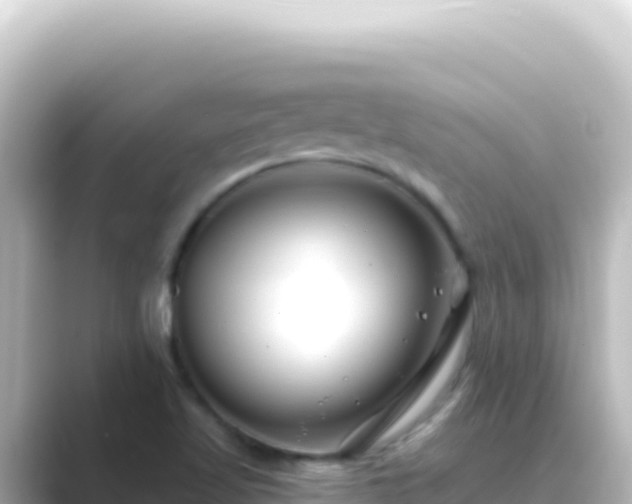 X0000089441509200706221220