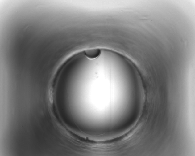 X0000089441510200706221220