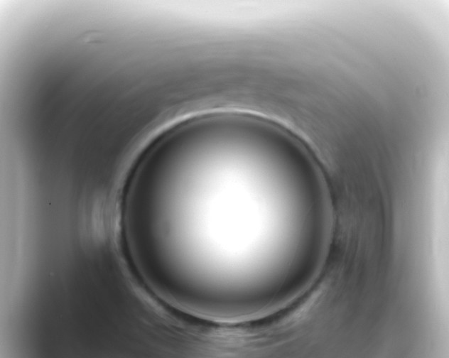 X0000089441511200706221220