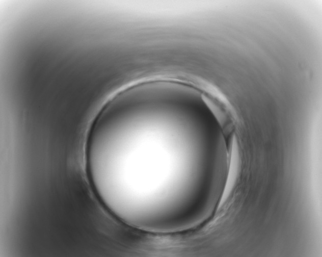 X0000089441512200706221220