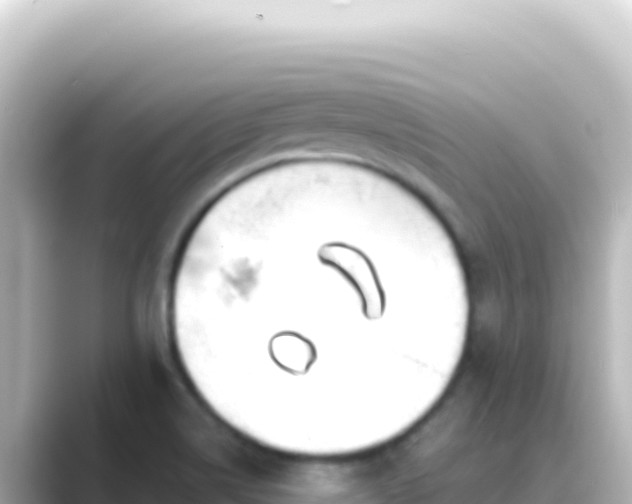 X0000089441514200706221220