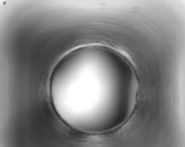 X0000089441516200706221220