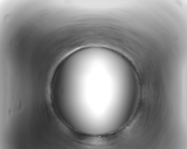 X0000089441517200706221220