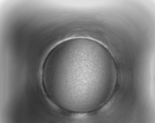 X0000089441519200706221220