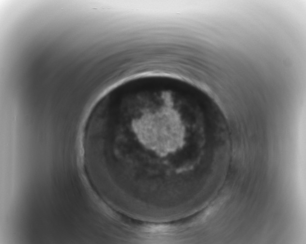 X0000089441522200706221220