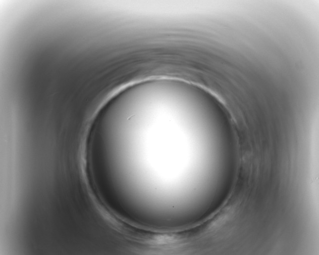 X0000089441523200706221220
