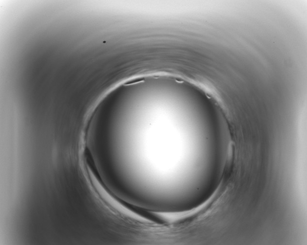X0000089441524200706221220