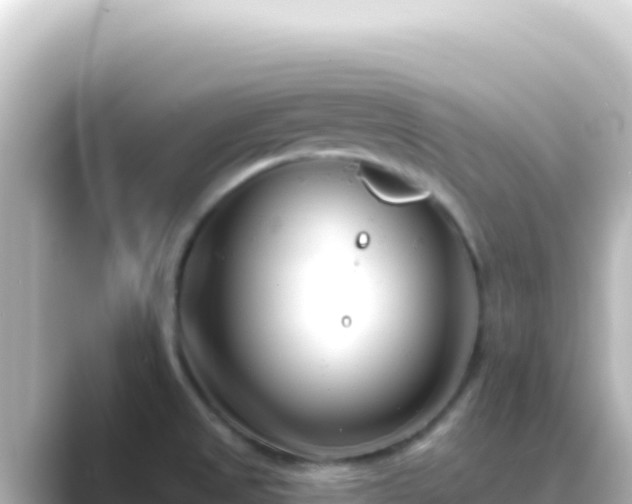 X0000089441525200706221220