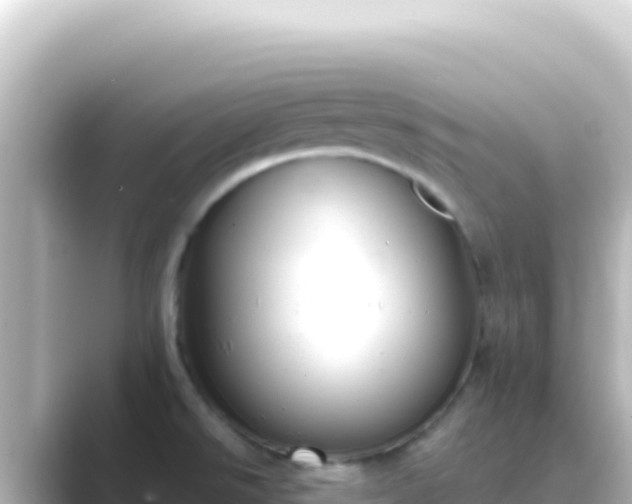 X0000089441526200706221220