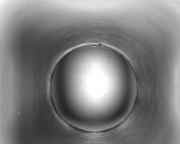 X0000089441527200706221220