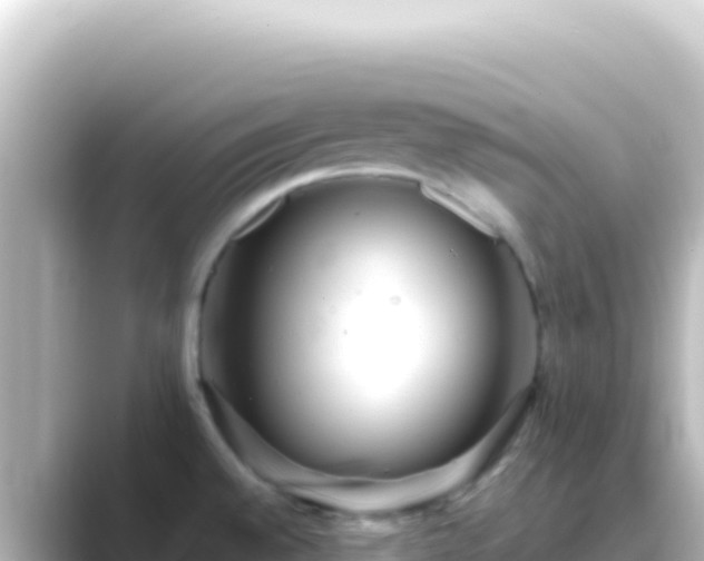 X0000089441528200706221220