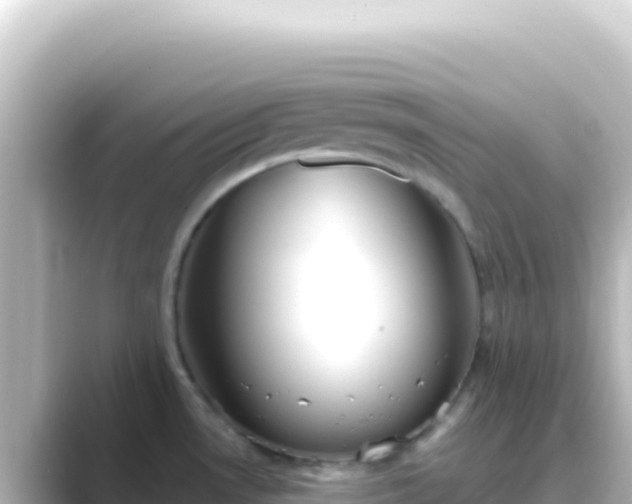 X0000089441530200706221220