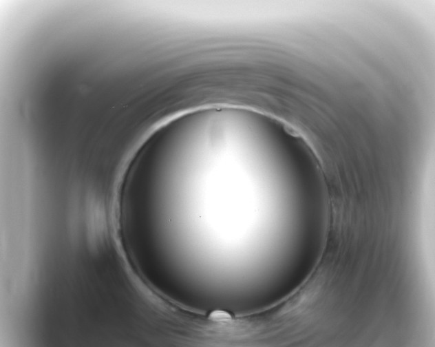 X0000089441531200706221220
