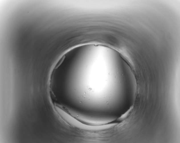 X0000089441532200706221220