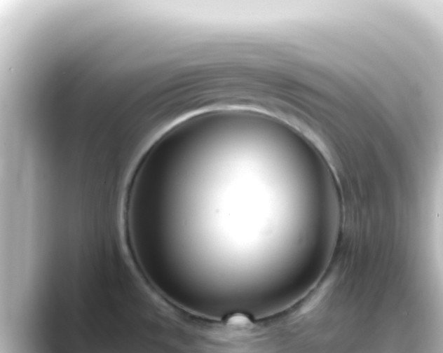 X0000089441533200706221220