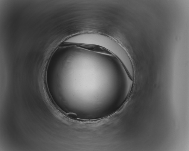 X0000089440001200706291433