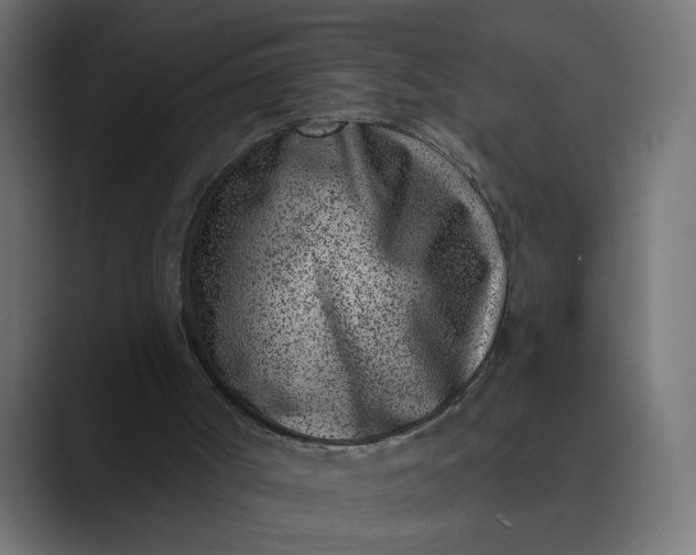 X0000089440002200706291433