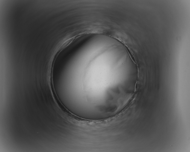 X0000089440003200706291433