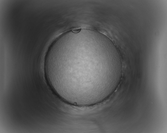 X0000089440006200706291433