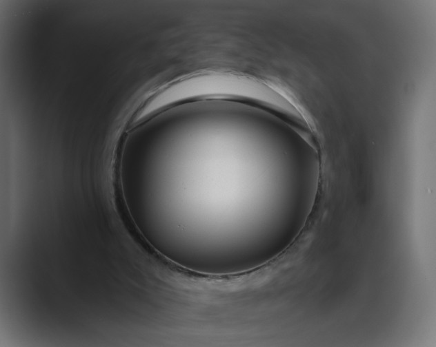 X0000089440007200706291433