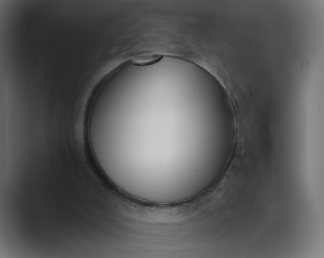 X0000089440008200706291433