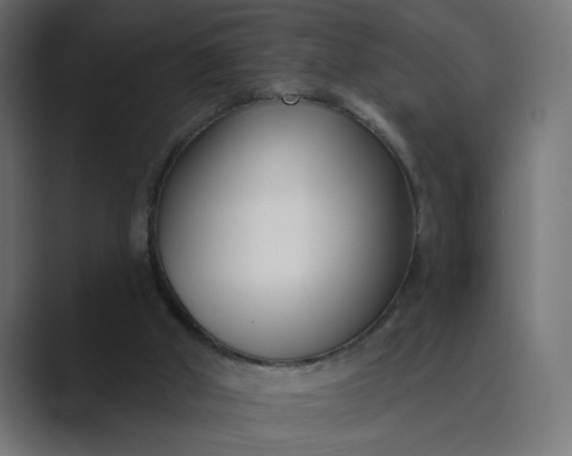 X0000089440010200706291433