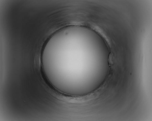 X0000089440011200706291433