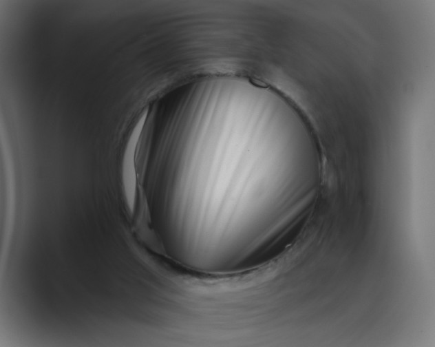 X0000089440013200706291433