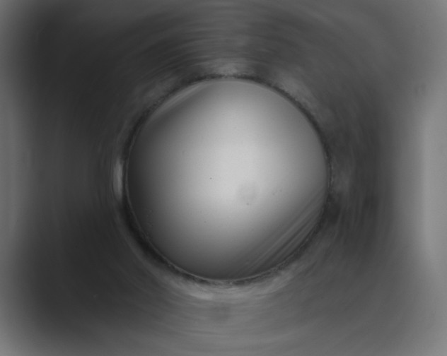 X0000089440014200706291433