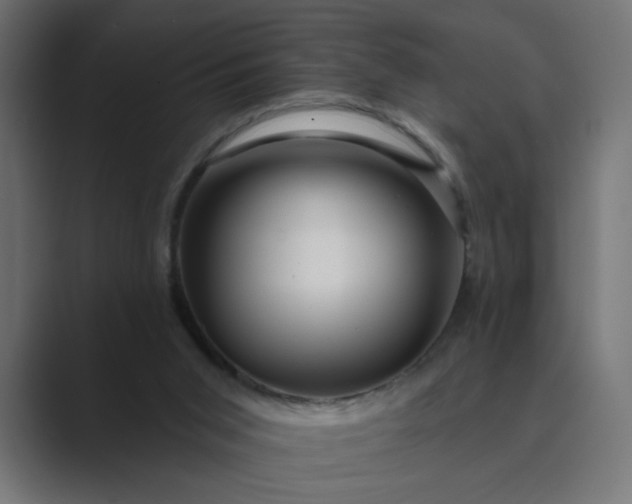 X0000089440015200706291433