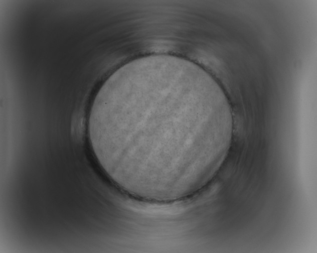 X0000089440016200706291433