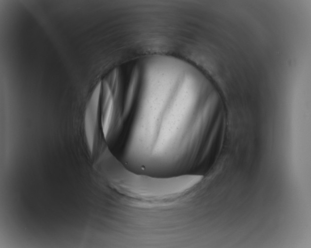 X0000089440017200706291433