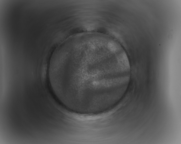 X0000089440018200706291433