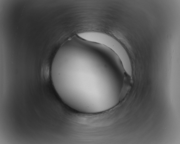 X0000089440021200706291433