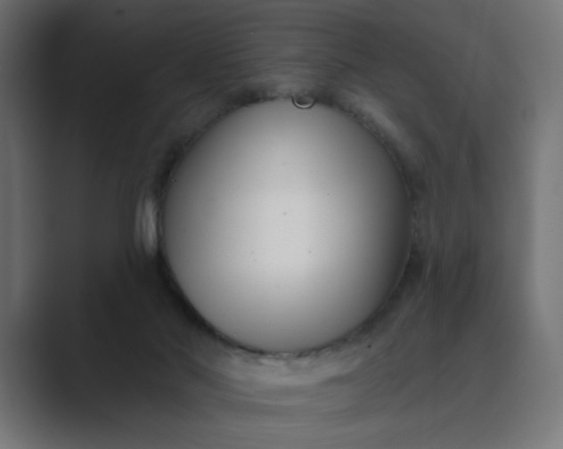 X0000089440022200706291433