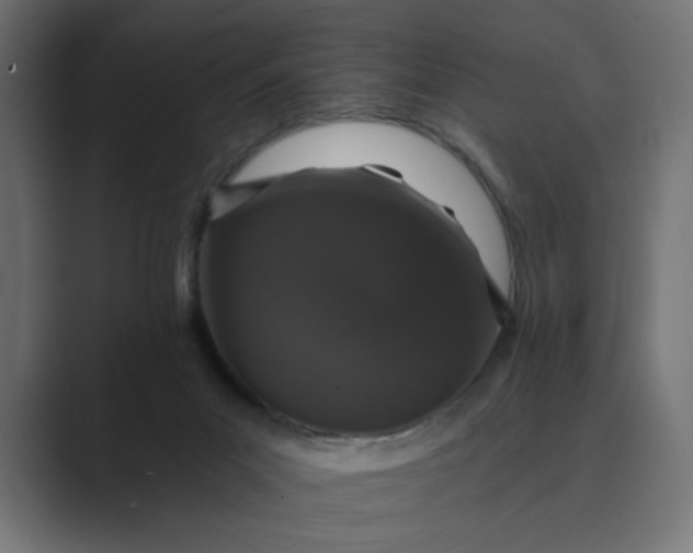 X0000089440023200706291433