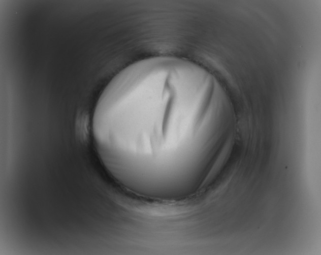 X0000089440024200706291433