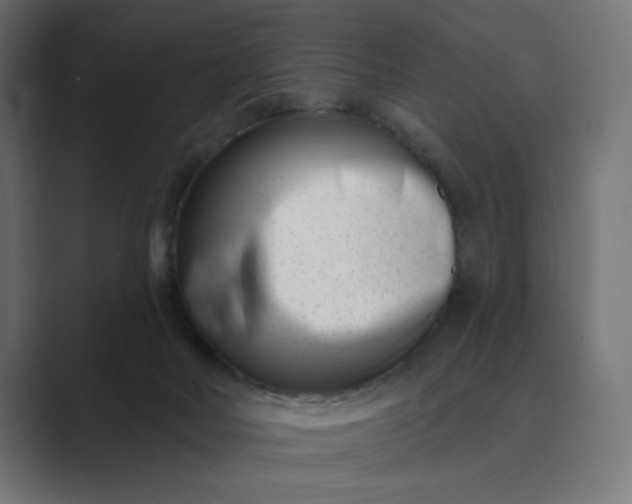 X0000089440026200706291433