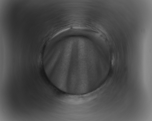 X0000089440029200706291433