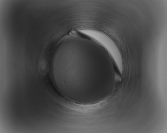 X0000089440031200706291433