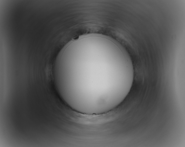 X0000089440034200706291433